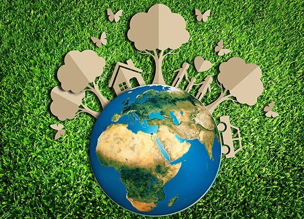 Sorularla Çevreyi Kirletenin Sorumluluğu